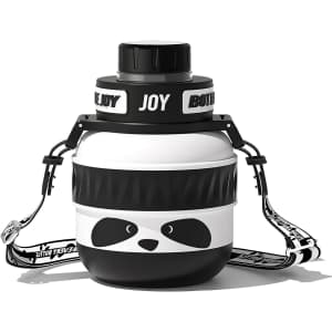 Bottle Joy 16-oz. Stainless Steel Water Bottle for $17