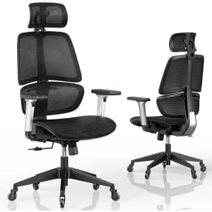 Linsy Home Ergonomic Office Chair for $110 Linsy Home Ergonomic Office Chair for $110