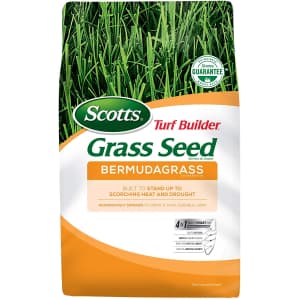 Scotts Turf Builder Grass Seed Bermudagrass 5-lb. Bag for $24 Scotts Turf Builder Grass Seed Bermudagrass 5-lb. Bag for $24