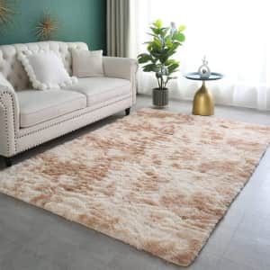 CozyDesg 8x10-Foot Area Rug for $59