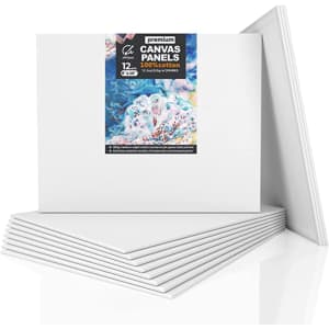 Artisani 8 x 10 Canvas Panel 12-Pack for $8