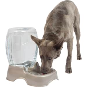Petmate 3-Gallon Cafe Waterer for $8