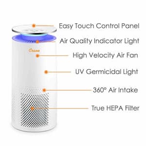 Crane Air Purifier with True HEPA Filter, 500 Sq Feet Coverage, Timer Function, Sleep Mode, Built for $120