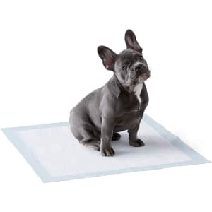 Amazon Basics Leak-Proof 5-Layer Dog Potty Training Pads 50-Pack for $10.49 w/ Sub & Save Amazon Basics Leak-Proof 5-Layer Dog Potty Training Pads 50-Pack for $10.49 w/ Sub & Save