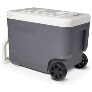Igloo 35-Quart Portable Electric Coolers for $102 w/ Prime Igloo 35-Quart Portable Electric Coolers for $102 w/ Prime