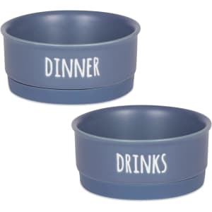 Bone Dry Ceramic Pet Bowl 2-Pack for $5