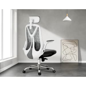 Ergonomic Office Chair for $100