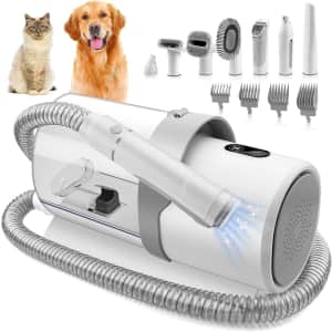 300W Pet Grooming Kit for $90