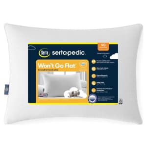 Sertapedic Won't Go Flat Bed Pillow for $9