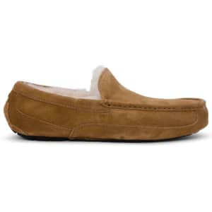 Uggs at Woot: Up to 33% off + Extra $5 off w/ Prime Uggs at Woot: Up to 33% off + Extra $5 off w/ Prime