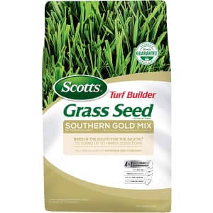 Scotts Turf Builder Grass Seed Southern Gold Mix 40-lb. Bag for $130