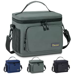 Baleine 15-Can Insulated Lunch Bag for $12