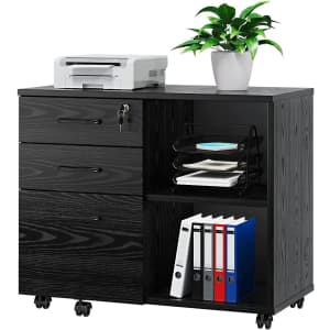 Panana Mobile Filing Cabinet for $90