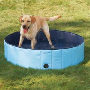 Cool Pup 47" Splash About Dog Pool for $26 Cool Pup 47" Splash About Dog Pool for $26