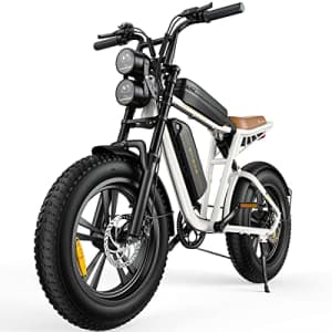 Schwinn 29