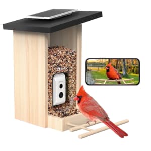 Birdfy Smart Bird Feeder with Camera and AI Species Identification for $100