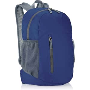 Amazon Basics Ultralight Portable Packable Day Pack for $14