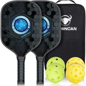 Bisoncan Pro Pickleball Set w/ 4 Balls & Carry Bag for $24 Bisoncan Pro Pickleball Set w/ 4 Balls & Carry Bag for $24