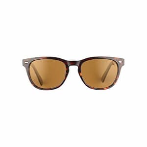Eddie Bauer Langley Polarized Sunglasses, Tortoise, ONE SIZE for $36