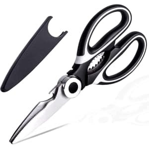 DHGG Stainless Steel Kitchen Shears for $2