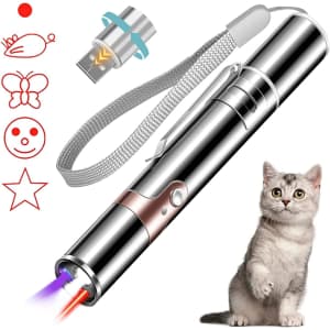 Laser Pointer Cat Toy for $4