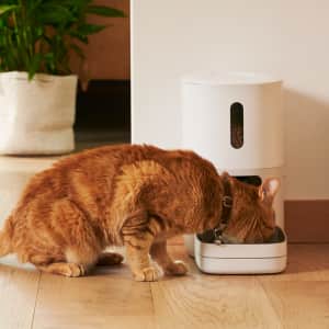Pawsync Coupon: 20% off Pawsync Coupon: 20% off