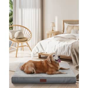 35" x 22" x 3.5" Dog Bed for $20 35" x 22" x 3.5" Dog Bed for $20