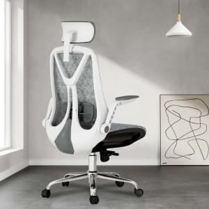 Ergonomic Adjustable Mesh Chair for $89