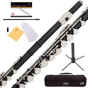 Mendini by Cecilio Closed Hole C Flute for $86
