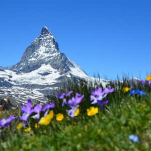 10-Night Switzerland Flight, Hotel, and Tour Vacation at Gate 1 Travel: From $7,178 for 2
