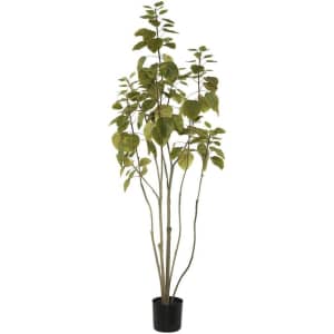 Vickerman 4-Foot Cotinus Coggygria Tree w/ Pot for $43 Vickerman 4-Foot Cotinus Coggygria Tree w/ Pot for $43
