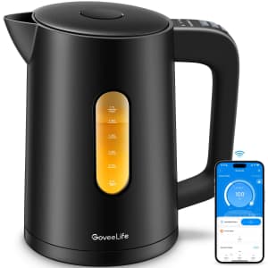 GoveeLife 1.7L Smart Electric Kettle for $30