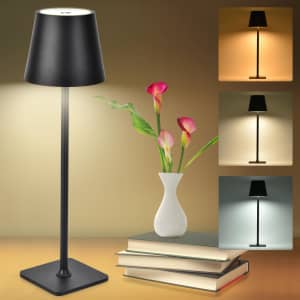Cordless Table Lamp for $20