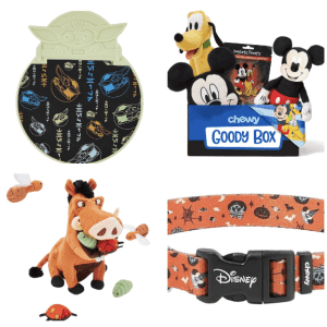 Disney Deals at Chewy: from $3
