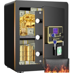 2.5-cu. ft. Digital Safe w/ Fireproof Bag for $60