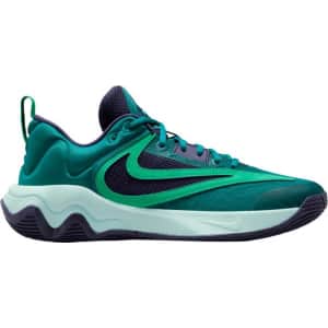 Nike Men's Shoes at Dick's Sporting Goods: Up to 65% off