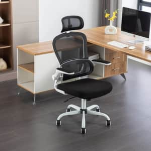Canmov Ergonomic Office Chair for $70