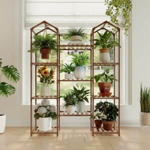 Plants & Planters Deals at Walmart: From $1, plants from $3