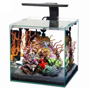 Aqueon Open-Glass Fish Tanks at Petco: 50% off