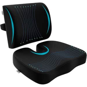 Ameriergo Seat Cushion and Lumbar Support for $20