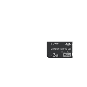 Sony 2 GB Memory Stick PRO Duo Flash Memory Card MSMT2G for $50