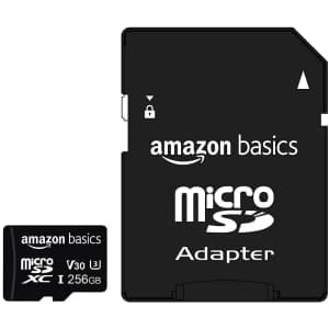 Amazon Basics 256GB microSDXC Memory Card for $28 Amazon Basics 256GB microSDXC Memory Card for $28