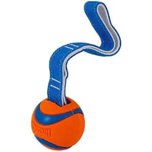 Chuckit! Ultra Tug Dog Toy for $5