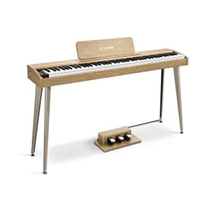 Donner 88-Key Digital Piano for $359