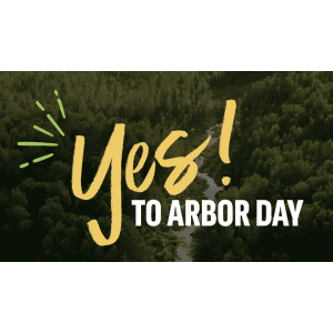 10 Trees and 2 Flowering Shrubs at Arbor Day Foundation: Free w/ $10 Donation