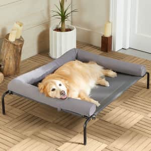Elevated Cooling Bed for Large Dogs for $35 w/ Prime