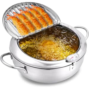 9.4" Japanese-Style Deep Fryer Tempura Pot for $24