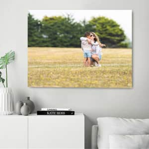 Two 24" x 18" Canvas Prints for $20