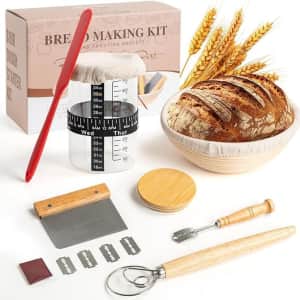 Professional Sourdough Starter Kit for $17