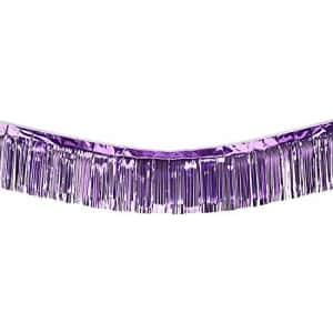 Beistle Metallic Fringe Drape Hanging Curtain, Party Decor, Mardi Gras Supplies, 10' x 15", Purple for $55